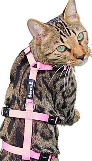 Panikgeschirr Sicherheitsgeschirr Safety Harness soft Classic rosa